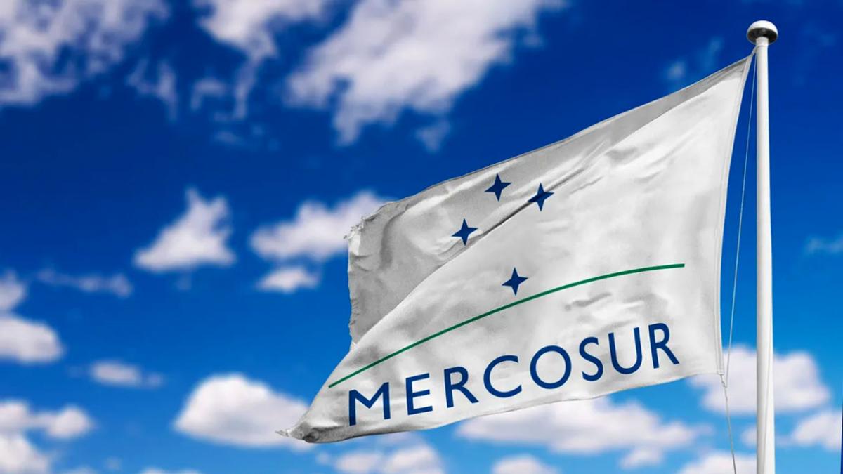 Bandera del Mercosur Foto Archivo Tlam
