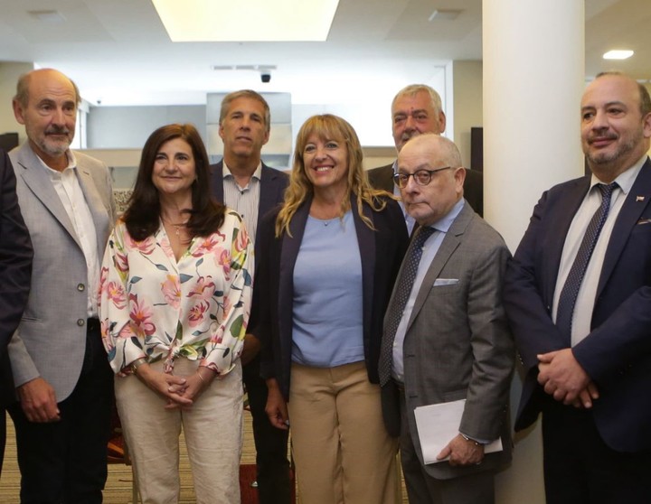 El ahora embajador Jorge Faurie en una reunión en Mendoza por los problemas con el Paso Cristo Redentor en la frontera con Chile