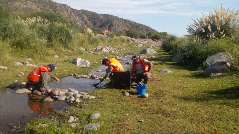Comenzó la recolección de semillas para el Vivero de Plantas Nativas